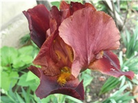 bd697445-Picture 031.jpg